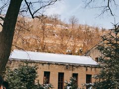 -延安杨家岭革命旧址