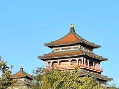 -莲花池公园