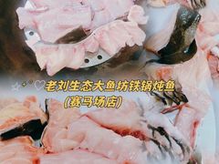 -老刘生态大鱼坊铁锅炖鱼(赛马场店)