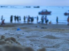 -阿弟特色海鲜餐厅·大排档(平潭店)