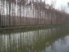 -黄海国家森林公园