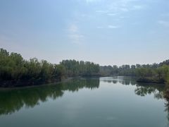 -黄河富景生态世界