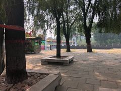 -北戴河集发农业梦想王国