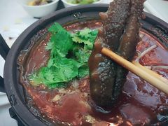 -鱼翅楼·津派砂锅鱼翅(水上公园店)