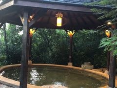 -天目湖涵田半山温泉