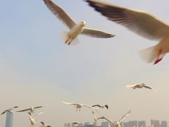 -蠡湖大桥公园