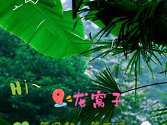 -龙窝子