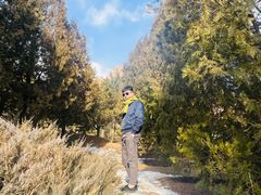 -天涯山