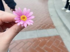 -郑州方特欢乐世界
