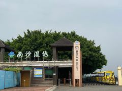 -大湾区中央湿地公园-十九涌