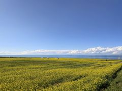 -青海湖国家重点风景名胜区