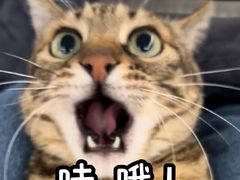 -雲物·云南小馆(好悦天地店)