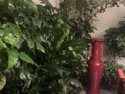 -特味村·宴会厅(生态园店)