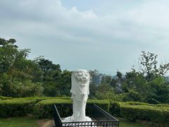-花柏山公园