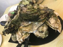 桑拿蠔-天宝食坊·啫啫煲大排档(西华路店)