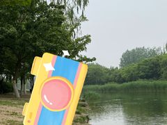 -大兴滨河森林公园