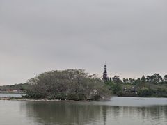 -海珠湖公园