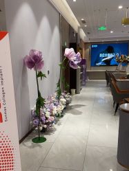 -云南吴氏嘉美医疗美容医院