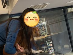 -百好乐宠物友好餐厅(朝外大街店)