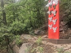 -阳台山自然风景区