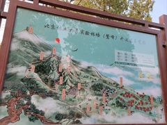 -北京鹫峰国家森林公园