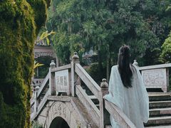-玉苍山国家森林公园