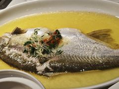 -老人和饭店(淮海中路店)