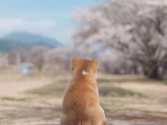 -新鲜7豆叔精品烘焙咖啡