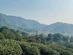 -龙坞茶村
