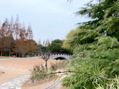 -上海滨江森林公园