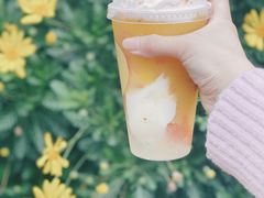 -奈雪的茶(市百一店)