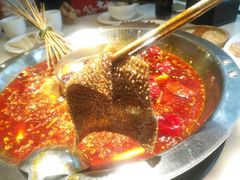 -孙毛肚火锅(春熙路店)