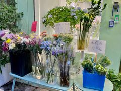 -溪岸路花鸟市场