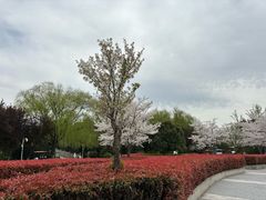 -石湖景区