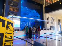 -迪拜水族馆及水下动物园