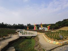 -松山湖梦幻百花洲