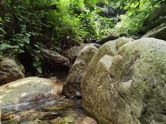 -素山寺森林公园