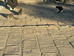 -沈阳市东陵公园