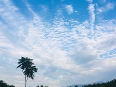 -洨河生态公园