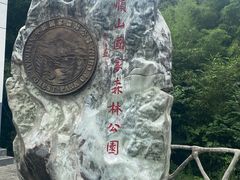 -王顺山国家森林公园