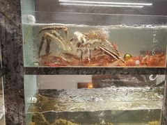 水产区-甄御•海鲜新青岛菜(麦岛店)