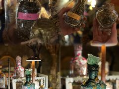 -雪灵魔法世界SHELLY’S TAROT(大良桂畔里店)