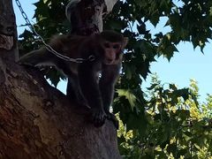 -石家庄市动物园