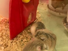 -龙猫仔乐园(惠福东路店)