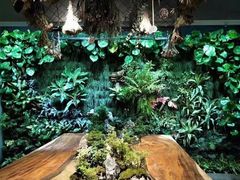 -森味薪火烧•烧鸟居酒屋•日本料理(望京店)