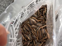 -琦王花生(周浦万达店)