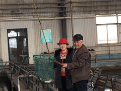 -万源龙顺度假庄园生态观光园