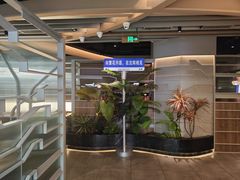 -湊湊火锅·茶憩(皇姑万象汇店)