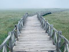 -黄河九曲第一湾