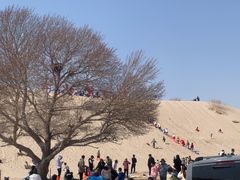 -库伦旗银沙湾旅游景区